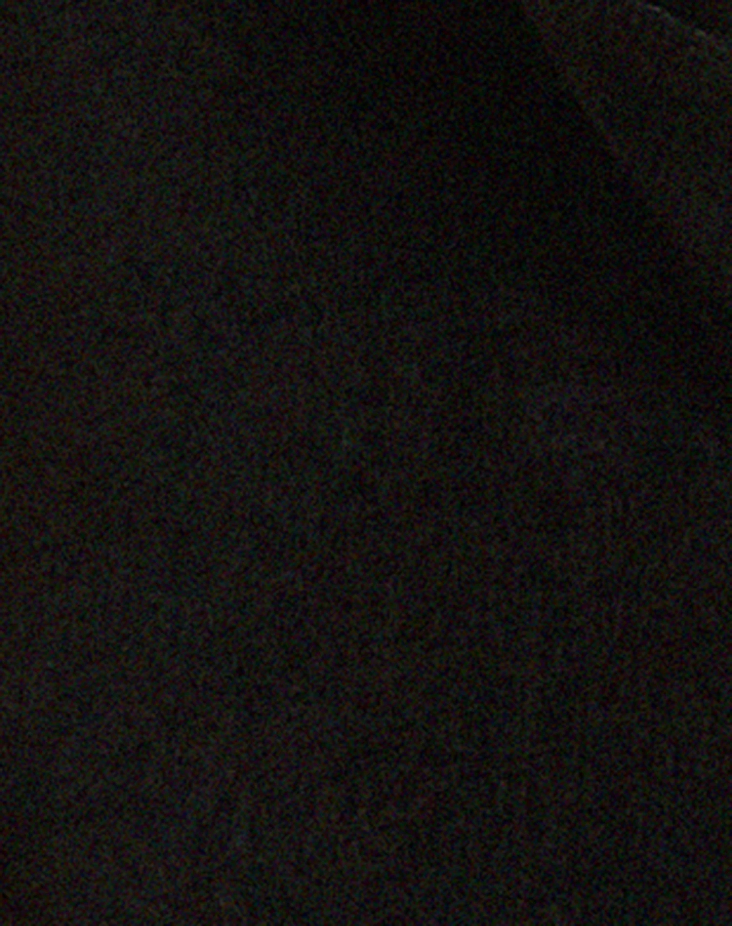 Lumley Halterneck Crop Top In Black - Image 9