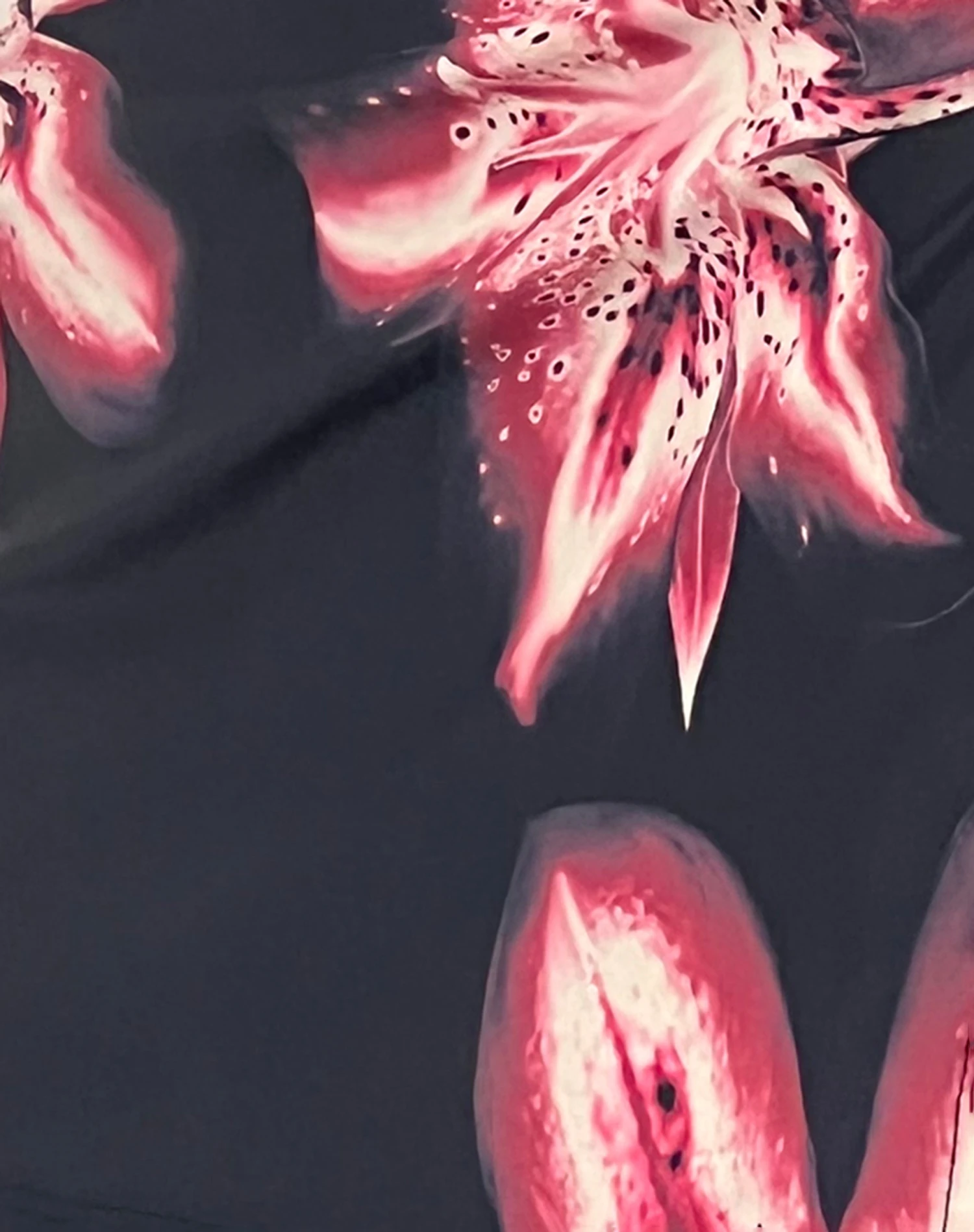 Sibita Swim Skirt In Lily Bloom - Image 8